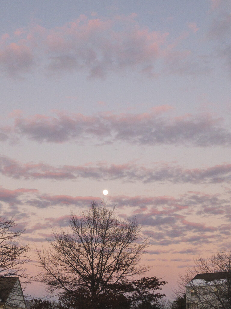 A full moon with pink sunst.