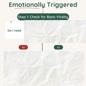 Emotional Regulation Flow Chart & Menu