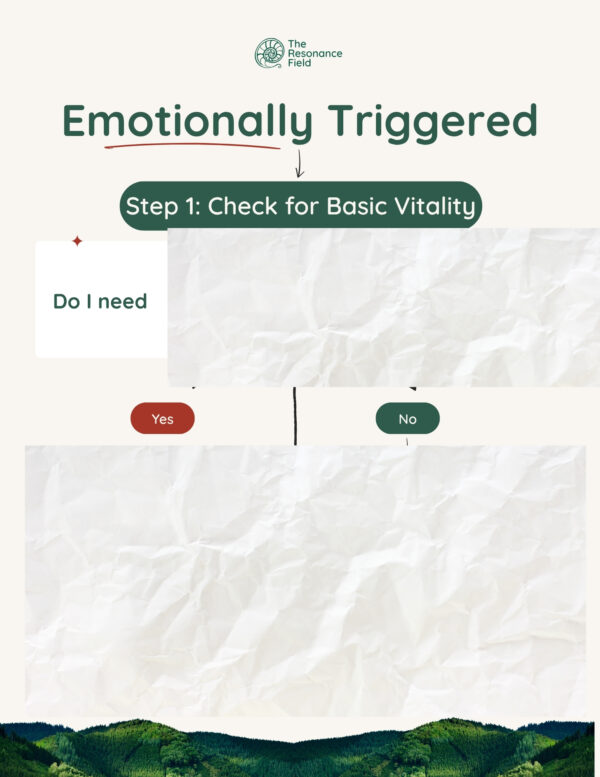 Emotional Regulation Flow Chart & Menu